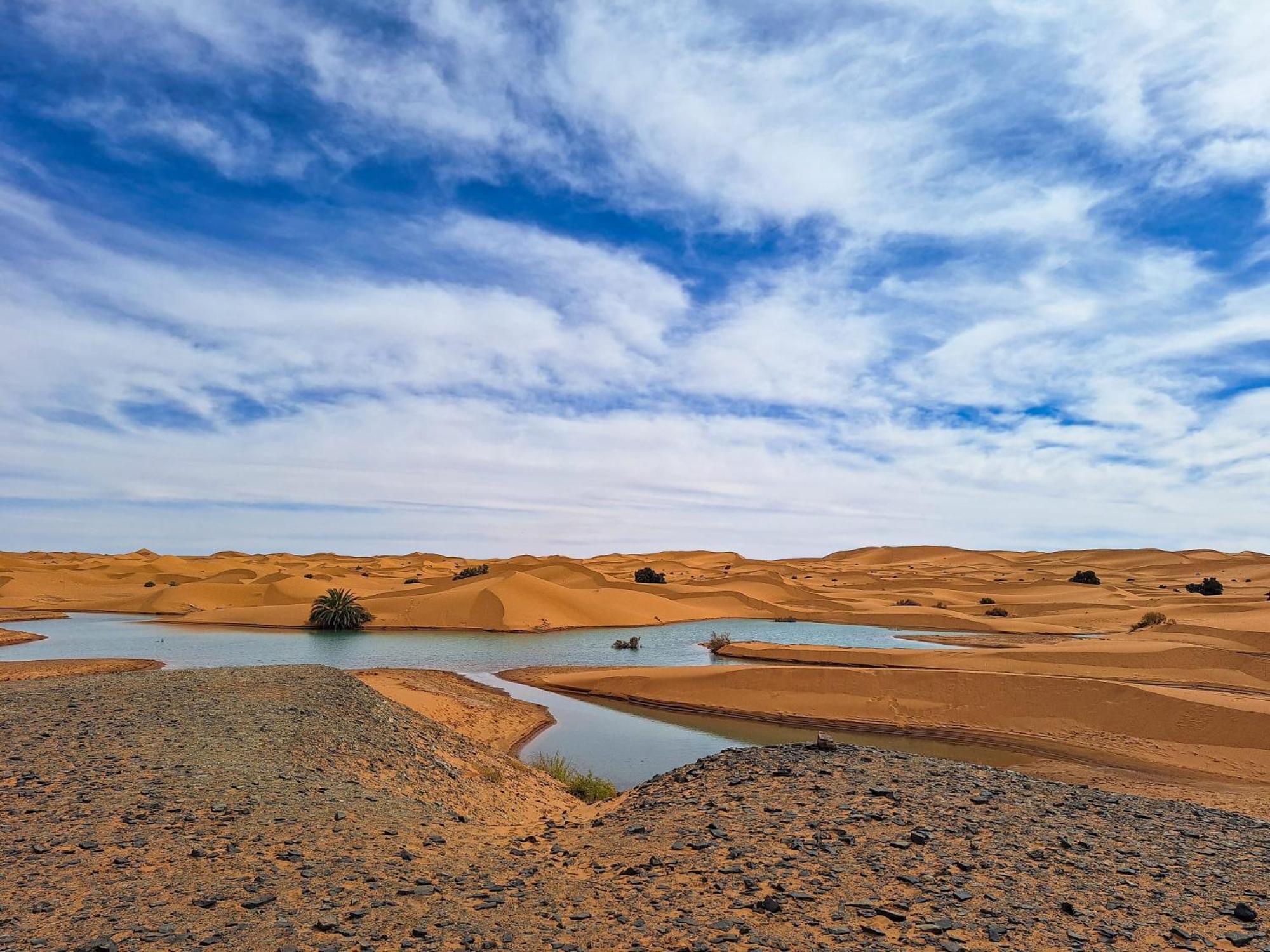 Maison Merzouga Guest House Eksteriør billede